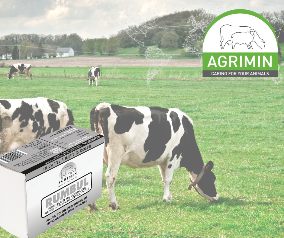 The Symptoms of Magnesium Deficiency in Cattle An Overview Agrimin